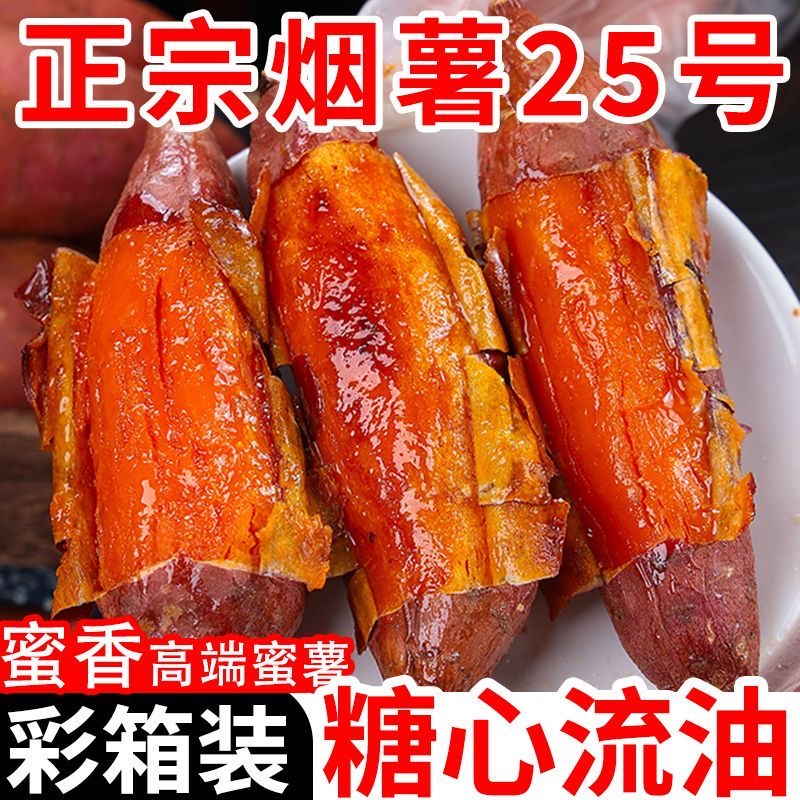 【农科院出品】山东烟薯25号蜜薯