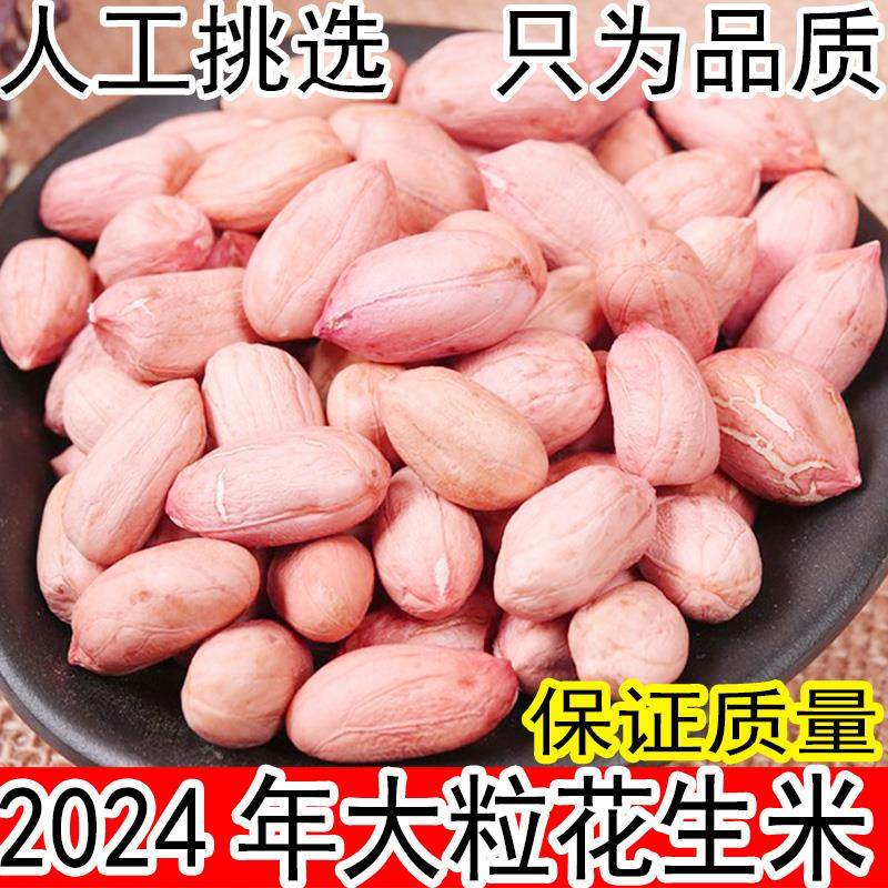 东北白沙花生米不带壳大颗粒新鲜粉皮花生仁24年农家新货散装商用