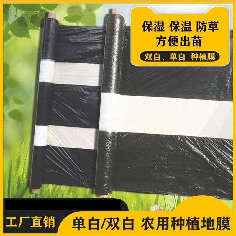农用黑白相间地膜双白单白双色除草膜玉米土豆蔬菜药材种植膜