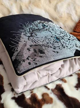 KQ1子秋轻奢车载抱枕春被毯子两用多功能二合一B办公室F768HMSH沙