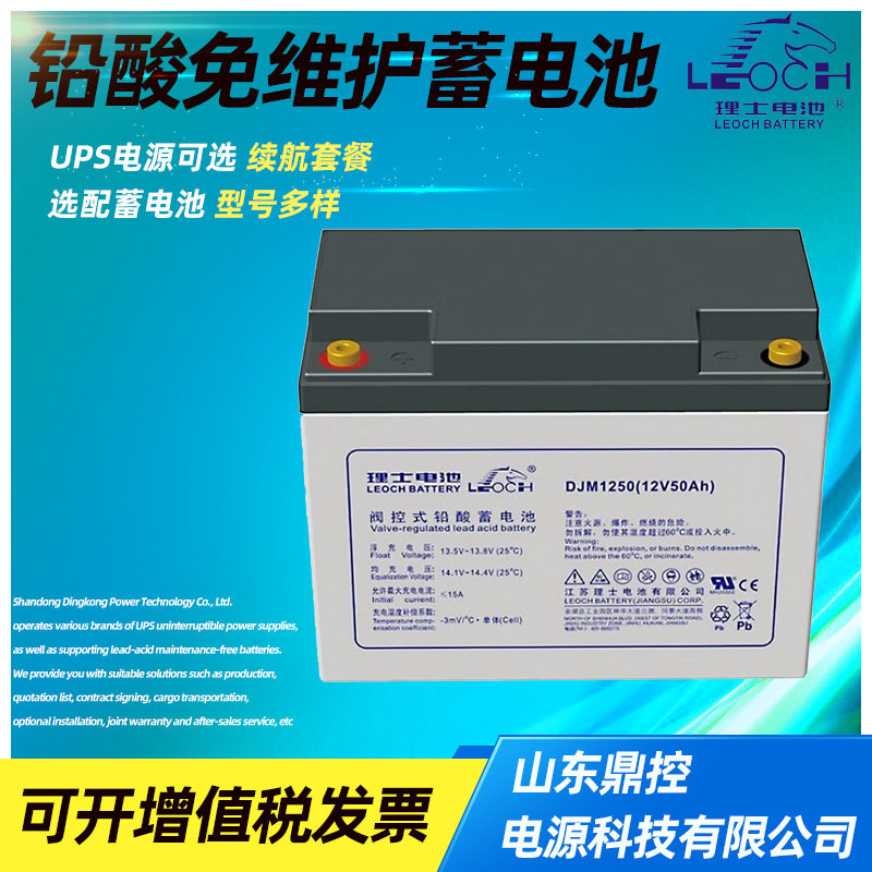 LEOCH理士5OPzV250固定型管状极板密封蓄电池2V250AH铅酸胶体