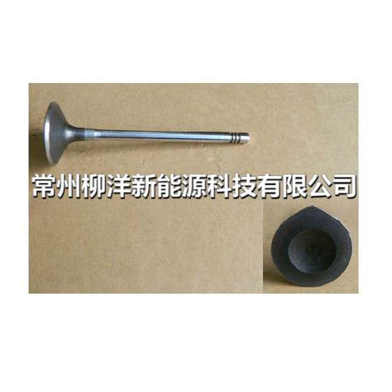 适用于哈弗Haval F7 4C20进气门1007011XEC01
