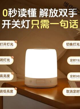 智能语音灯小夜灯声控感应卧室床头睡眠夜晚睡觉伴睡定时款台灯起