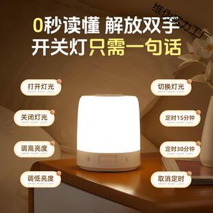 智能语音灯小夜灯声控感应卧室床头睡眠夜晚睡觉伴睡定时款台灯起