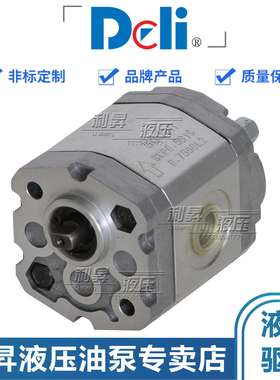 DELIHYD齿轮泵CBKA-F1.6GFCBKAF1.6CFCBKA-F4.2FCBKA-0.8GF