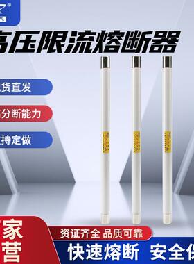 35KV高压熔断器XRNP1-40.5/0.5-3.15A40.5KV高压熔断器PT熔芯