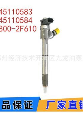 0445110583044511058433800-2F610共轨喷油器适用于D4HB发动机