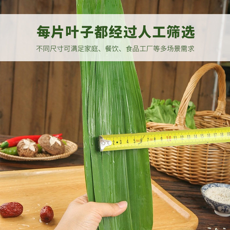 真空鲜粽叶摆盘装饰刺身日式料理装盘粽叶子笹叶寿司竹叶3000片