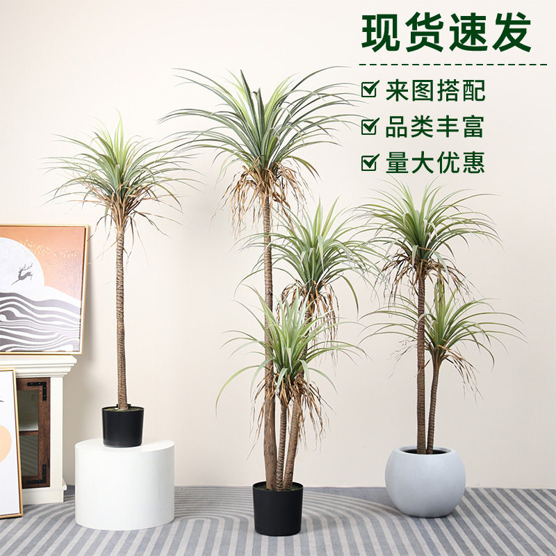 仿真丝兰树盆栽剑麻盆景仿真绿植高级感家居装饰仿真植物工厂批发