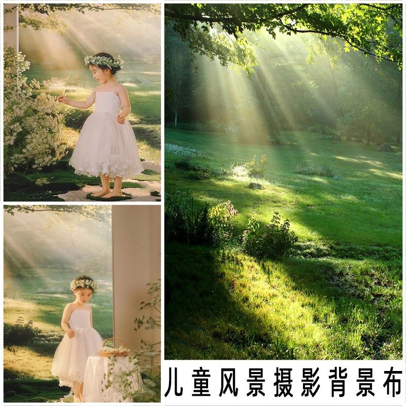 新款风景室内摄影背景布影楼儿童梦幻森系拍照小清新家用写真布