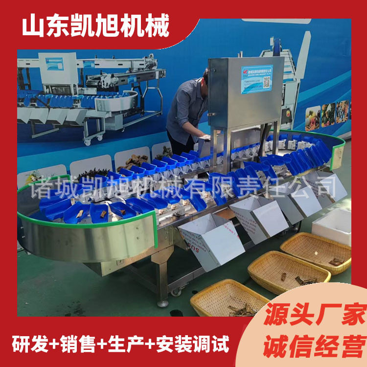 凯旭供应小型商用选果机蟠桃油桃自动克重筛选机水果称重分选机