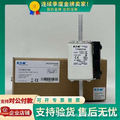 巴斯曼熔断器170M5531/5532/5533/5534/5535/5536/5537/5538/5539