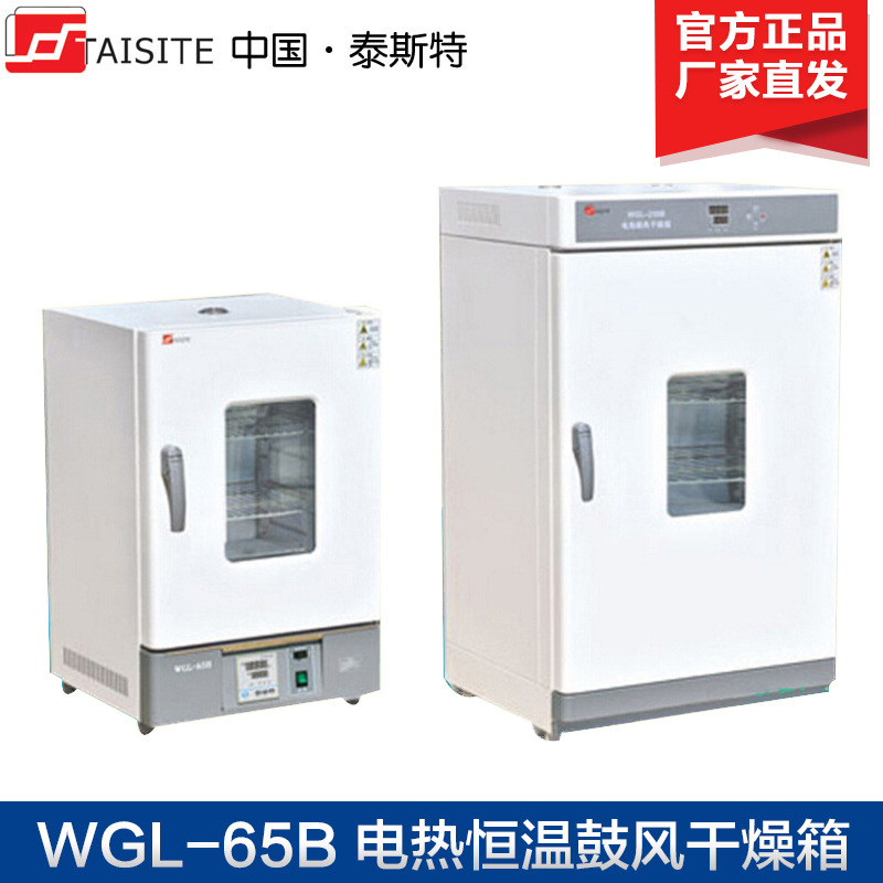 天津泰斯特WGL-30B 45B 65B 125B 230B 625B电热鼓风干燥箱 立式