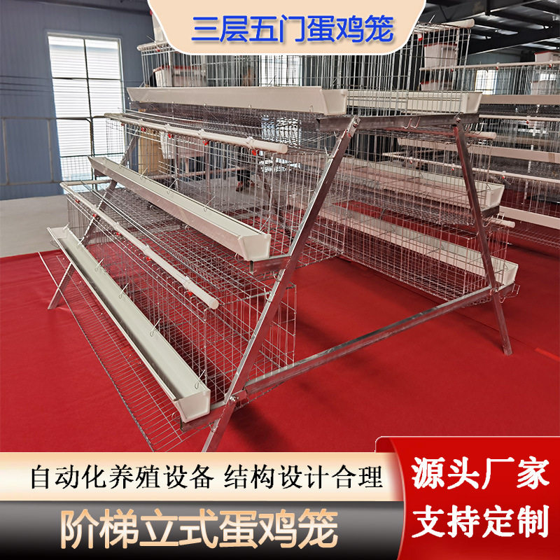 阶梯蛋鸡笼三层五门阶梯式白槽蛋鸡笼子鸡舍养殖场滚蛋养殖笼鸡用