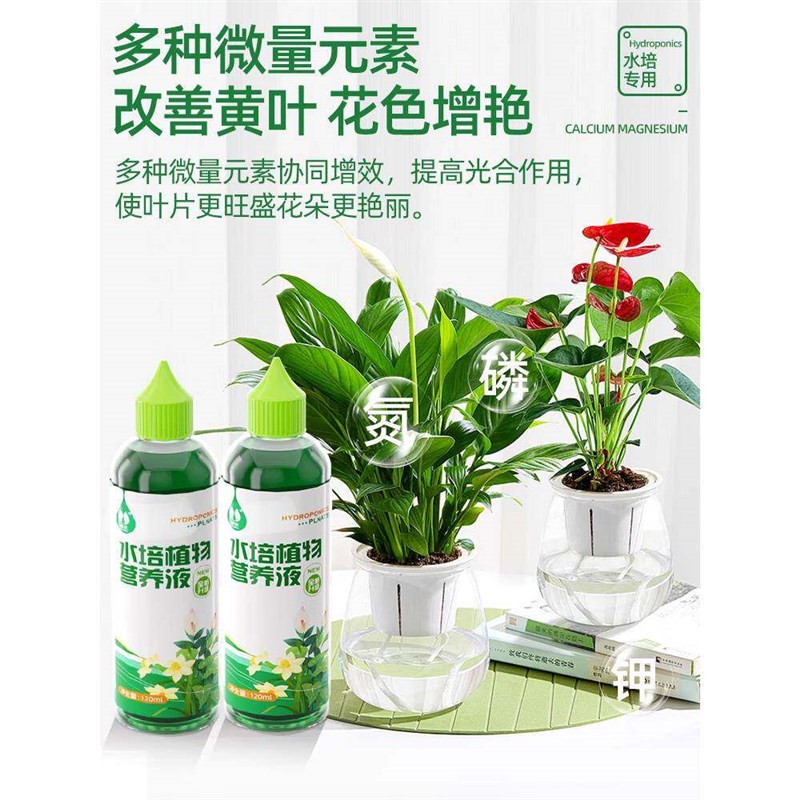 速发水培植物营养液通用型绿萝富贵竹转运竹碗莲铜钱草发财树专用