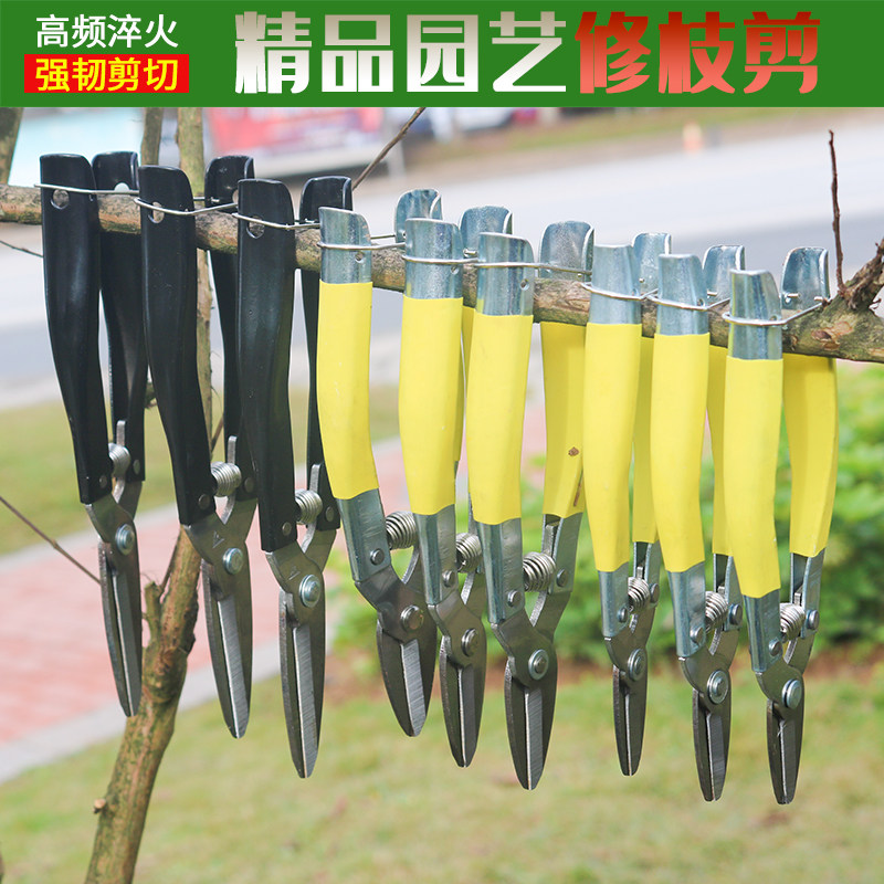 速发果剪花剪 修枝剪 园林果剪 果树剪刀省力树枝修葡刀剪萄园艺