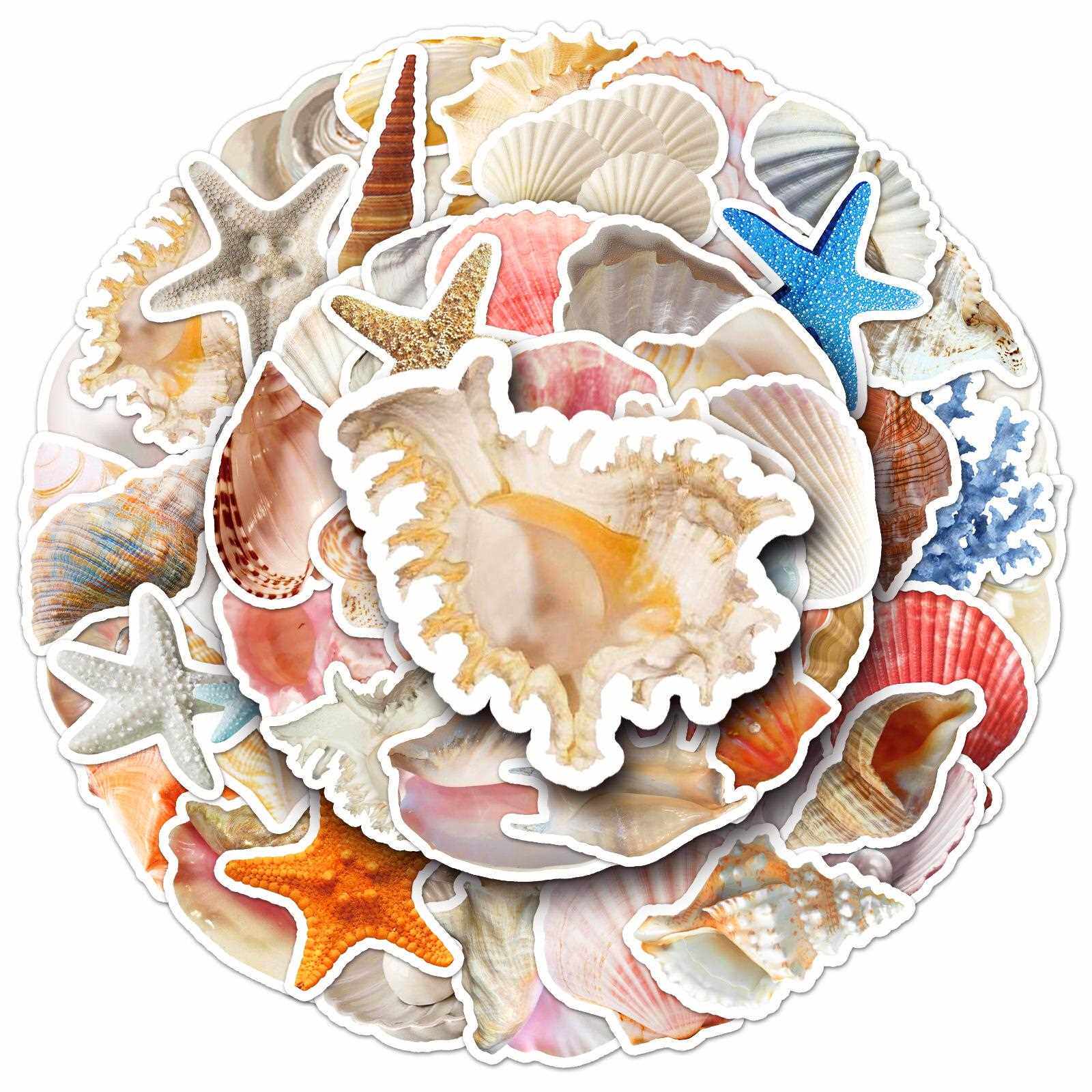 直销新款50张贝壳创意贴纸个性跨境小清新ins风咕卡装饰手机壳手