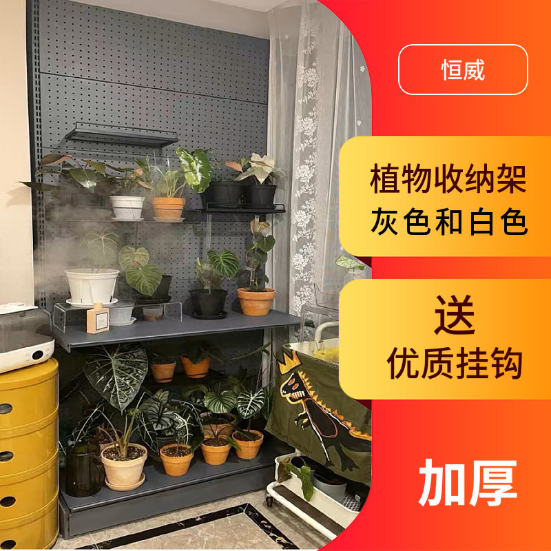绿植盆栽架子洞洞板墙鹿角蕨网红绿植室内置物架阳台洞洞板货架