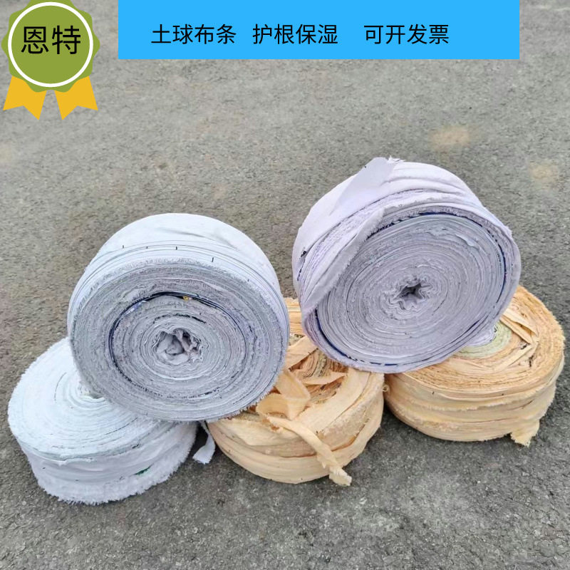 绿化包土球拉力数长黑白布条