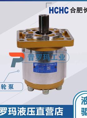 HCHCB合肥长源PPJ齿轮油泵CBNF20-BF-P、525/563BFPL5、550FH、BF