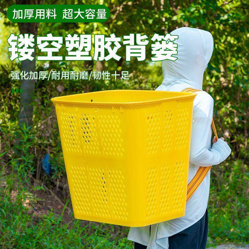 背牛娃漏塑料型篓镂GZR空加厚大户外家用耐用磨采摘水果熟水胶背