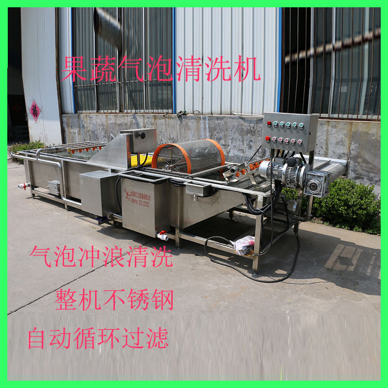 山野菜气泡清洗机 蘑菇菌类连续鼓泡清洗机黄桃草莓果蔬清洗机