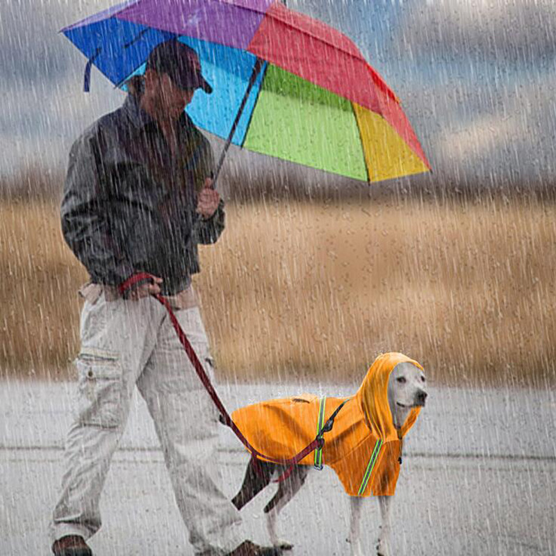 狗狗雨衣金毛边牧中大型犬雨披泰迪比熊博美小型犬防水服狗狗衣服