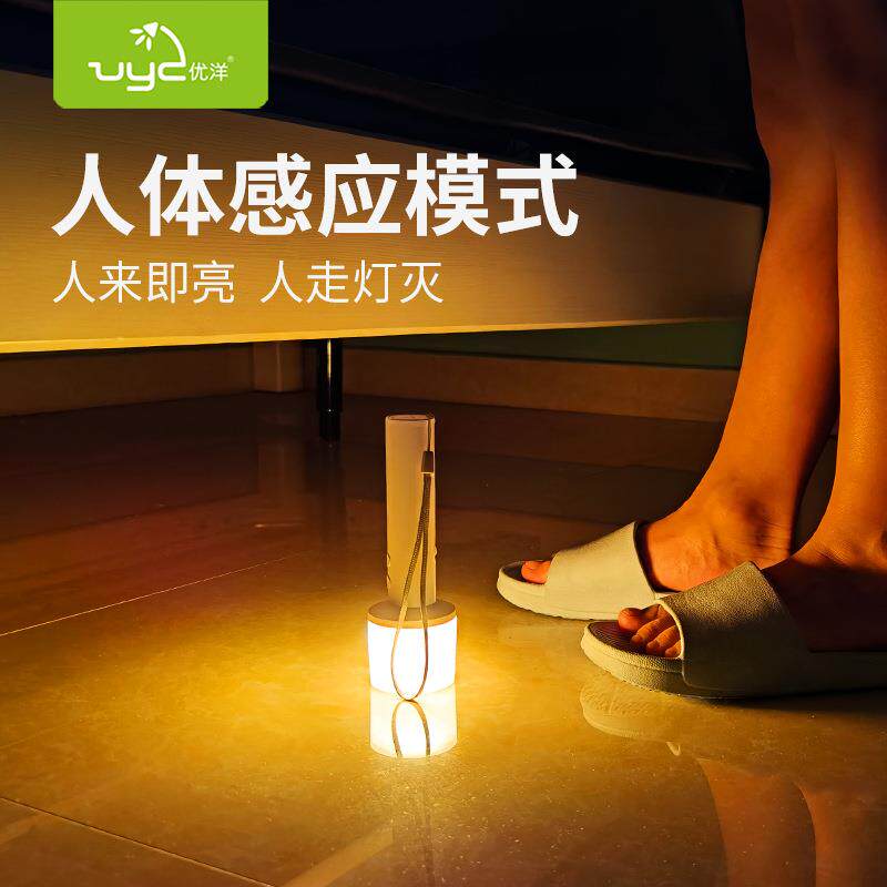 多功能充电小夜灯人体感应起夜衣橱床头led暖光卧室彩光氛围应急