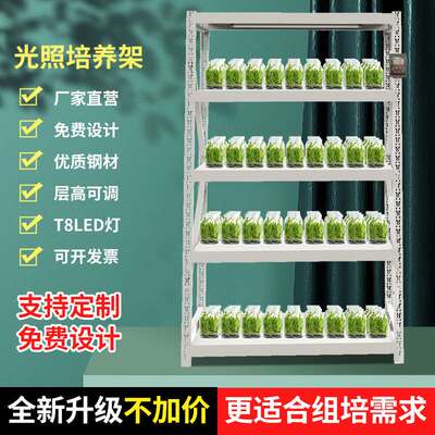 led带灯植物组培架冷轧钢货架实验室育苗培养架不锈钢光照