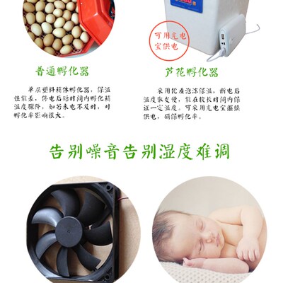 速发厂促自动控温小鸡孵化器育雏保温小型家用鸟蛋智能保温箱孵化