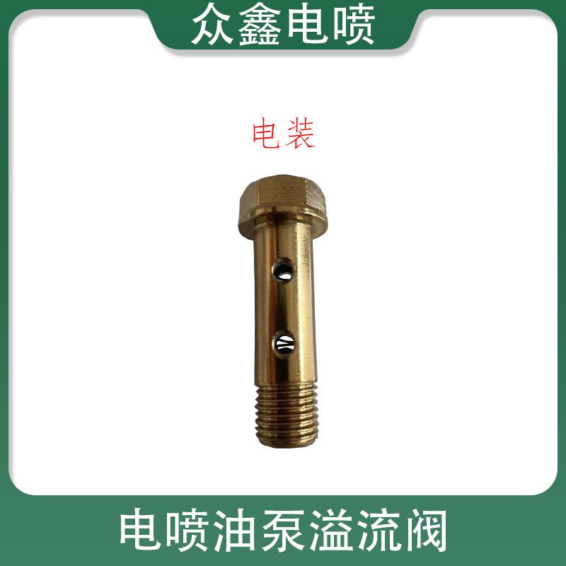 速发电喷油泵限压阀CP2.2/CP18/CP1//CP28油泵溢流阀回油阀螺丝