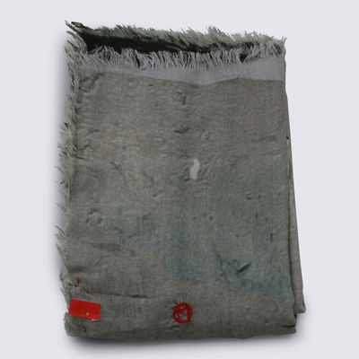 TALKING WALLS 女士 SS26 围巾 Scarfs