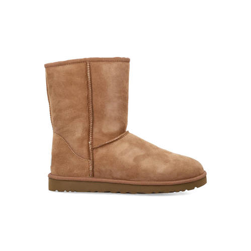 UGG Australia 男士 SS26 靴子 经典款低筒