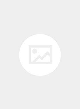 Sass  Bide 女士 背心 徽标坦克T恤