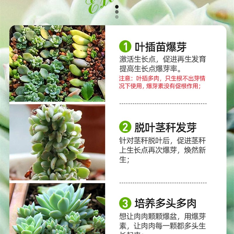 领沃优芽素多肉营养液肥料爆芽素促多头测芽分裂素增色