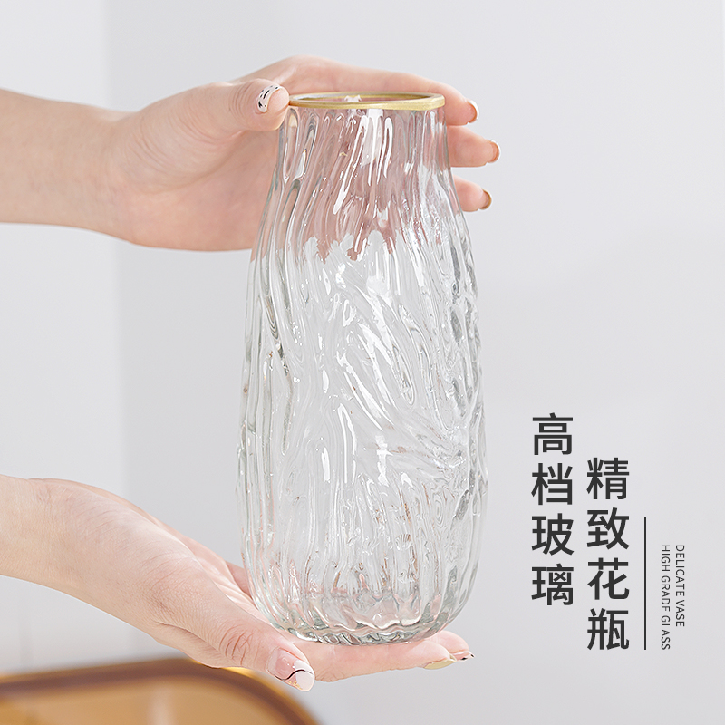 仙洞龟背竹水培植物盆栽竹芋室内花卉绿植净化空气好养桌面植物花