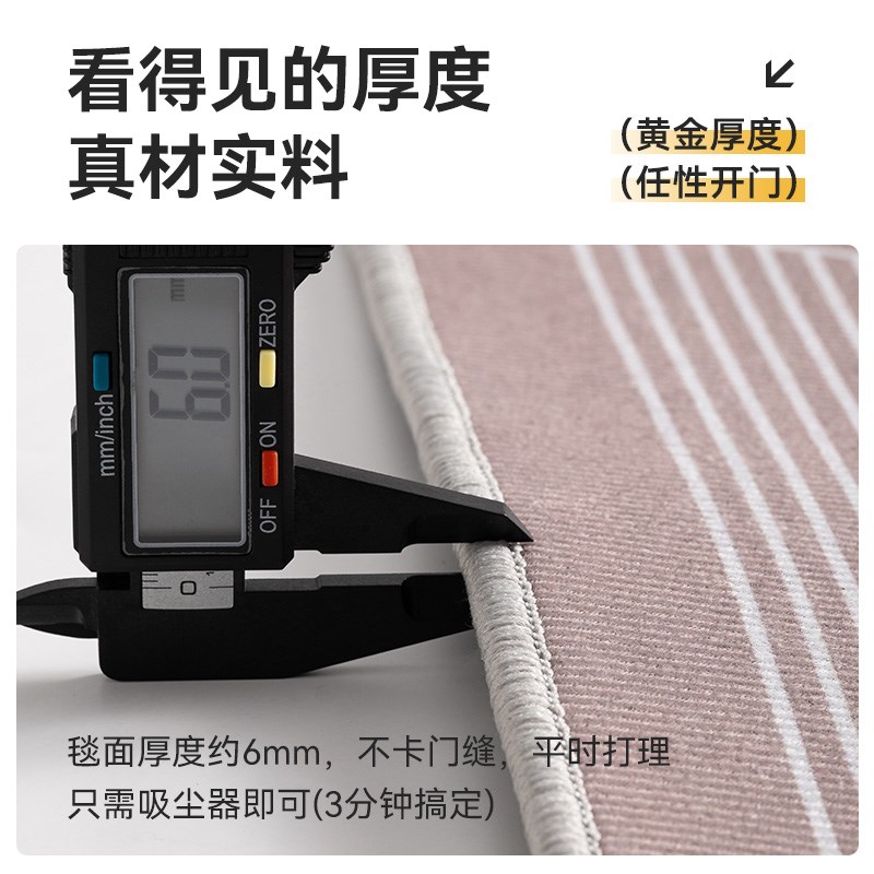 入户门地垫豪宅门口进门门垫新款简约地毯高级入门门外可定制脚垫