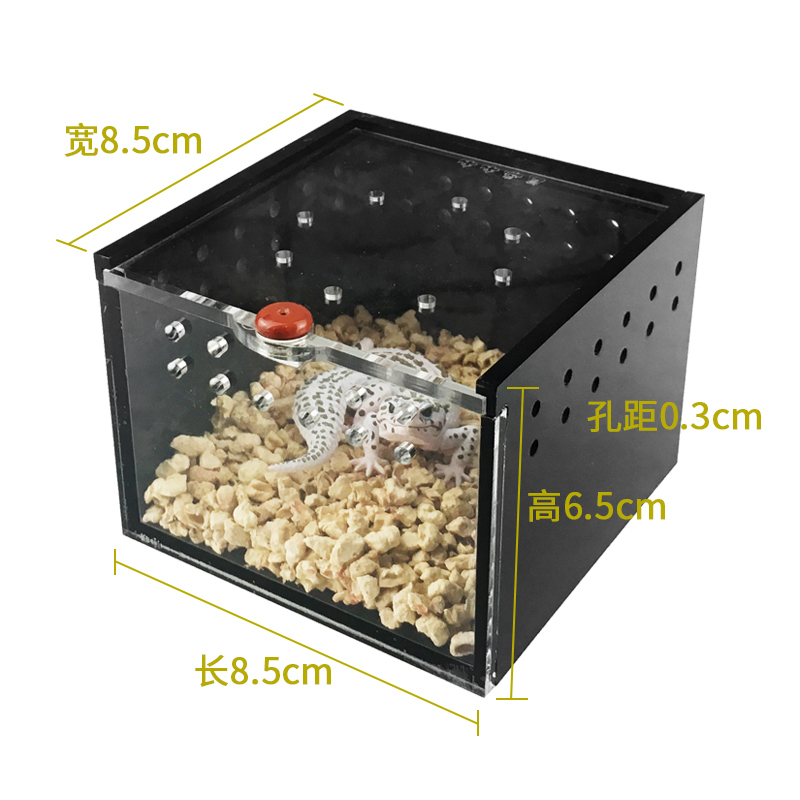 蜘蛛饲养盒迷你爬虫盒小爬宠盒养蝎子独角仙甲虫专业黑色亚克力盒