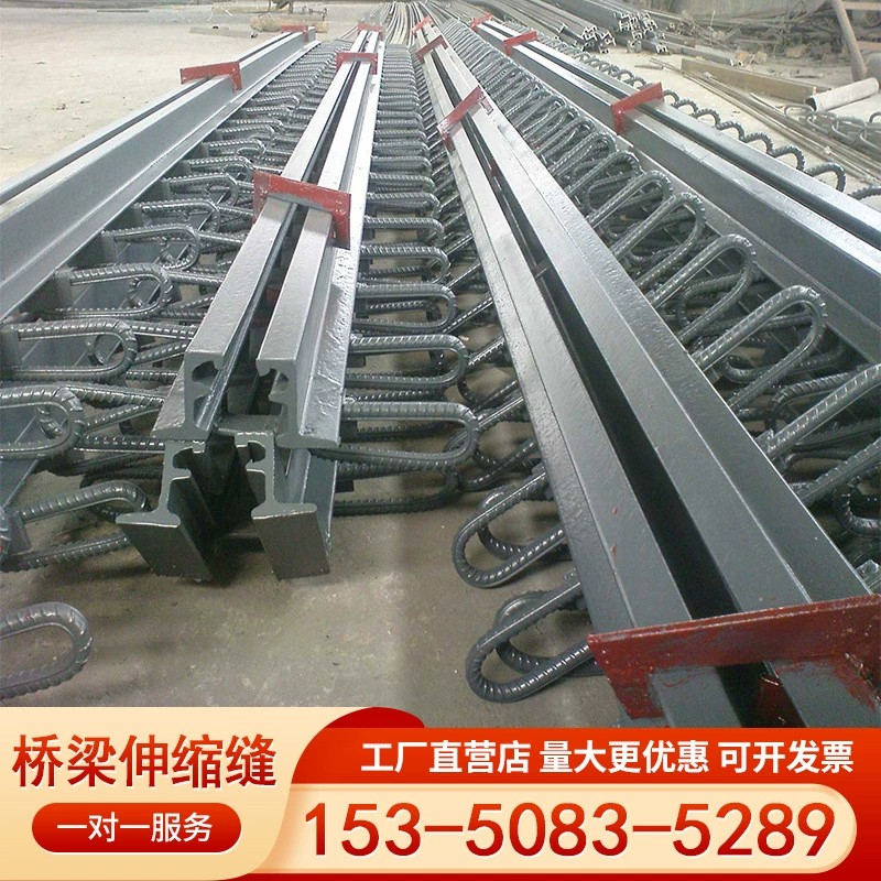 桥梁伸缩缝C/D/E型40/80/160型梳齿板模数式伸缩缝胶条毛勒缝厂家