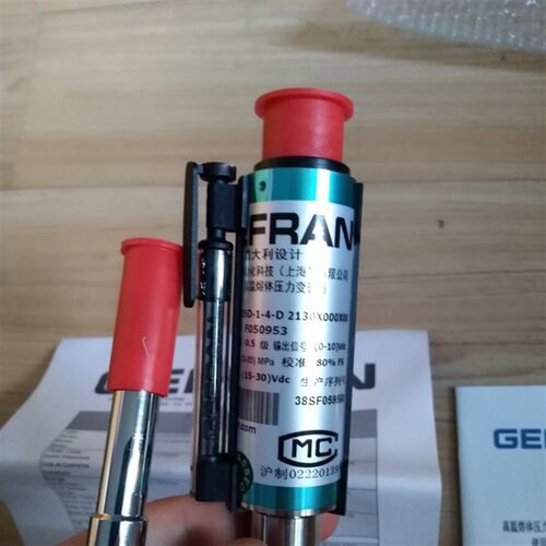 C31 MN1-6-M-B05C-1-4-D 2130X000X00原装杰佛伦高温熔体传感器询