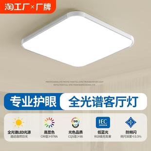 现代简约大气 主卧室LED吸顶灯客厅房间餐厅中山灯具大全2024新款
