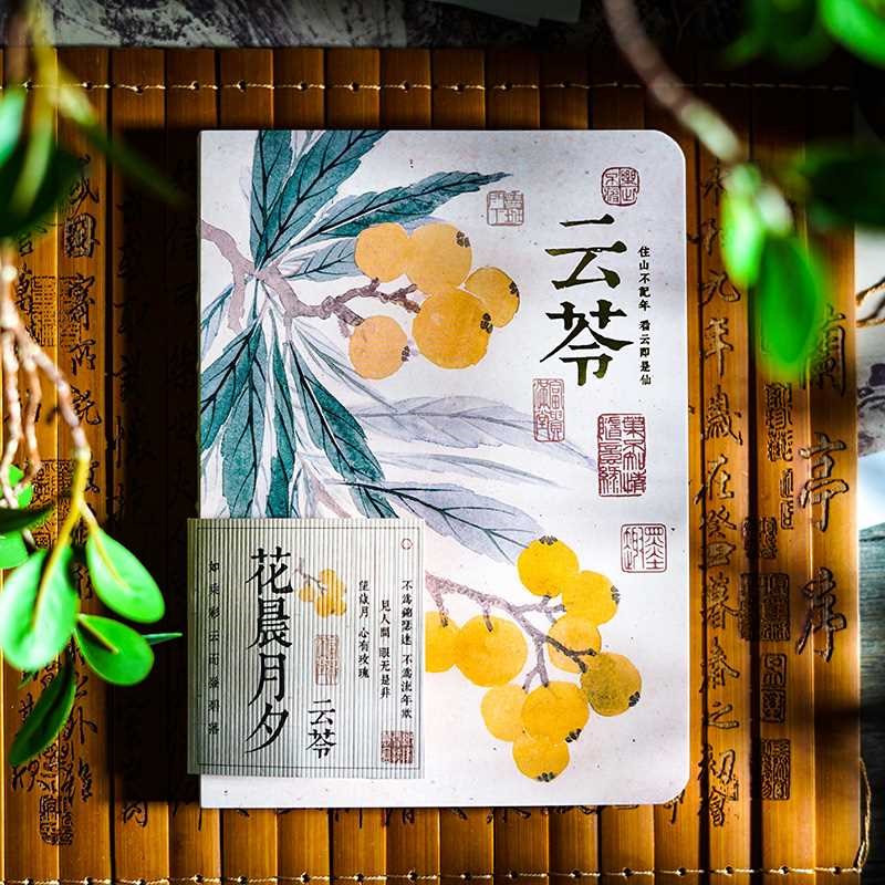 全白纸裸装手帐本空白内页笔记本植物主题记事本旅行盖章本礼品本