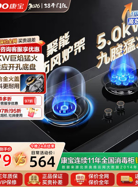 康宝2QB529燃气灶5.0KW大火力台嵌两用防爆钢化玻璃面板节能省气