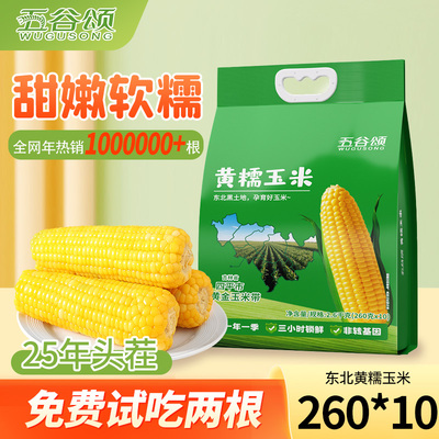 五谷颂东北黄糯新鲜糯玉米独立装