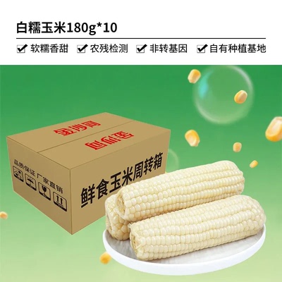 白糯玉米10根非转基因