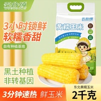 五谷颂东北粘糯玉米200g*10根 真空锁鲜软糯拉丝甜糯鲜食玉米
