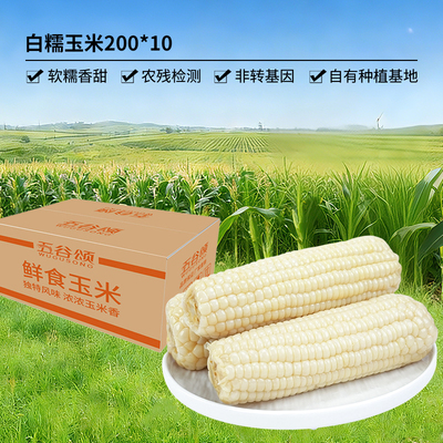 五谷颂白糯玉米非转基因香甜软糯