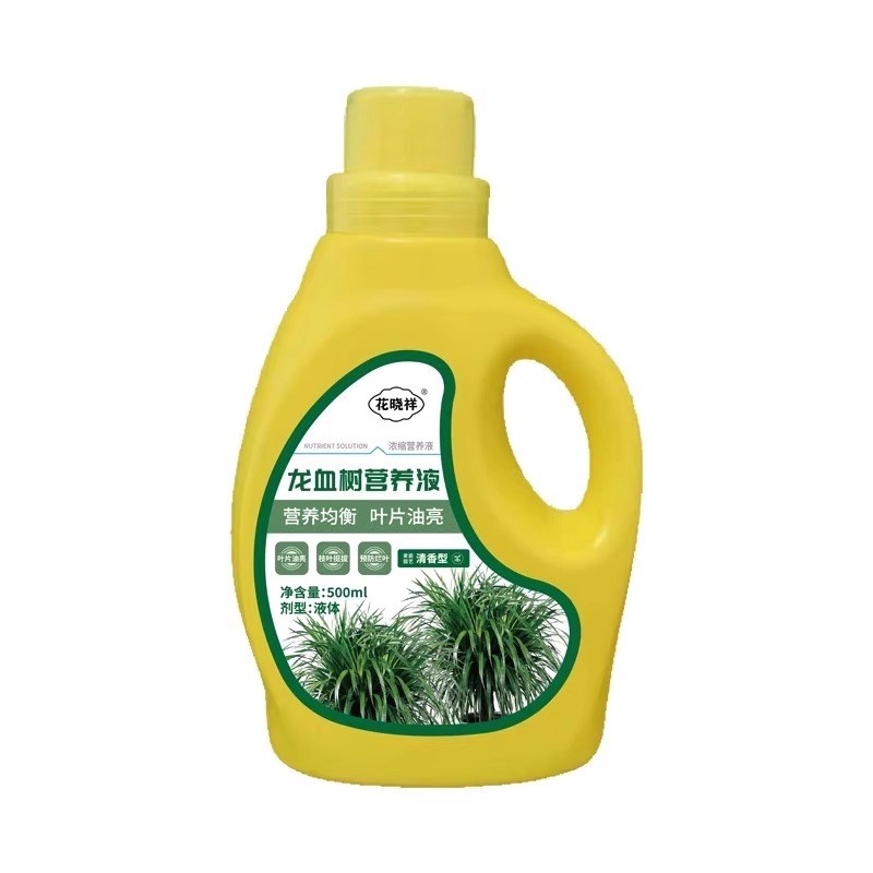 龙血树营养液治干尖黄叶枯叶烂根药龙须树生根Y药水复活液