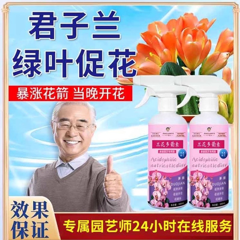君子兰夹箭肥料促箭剂u开花肥治不开花黄叶营养液通用