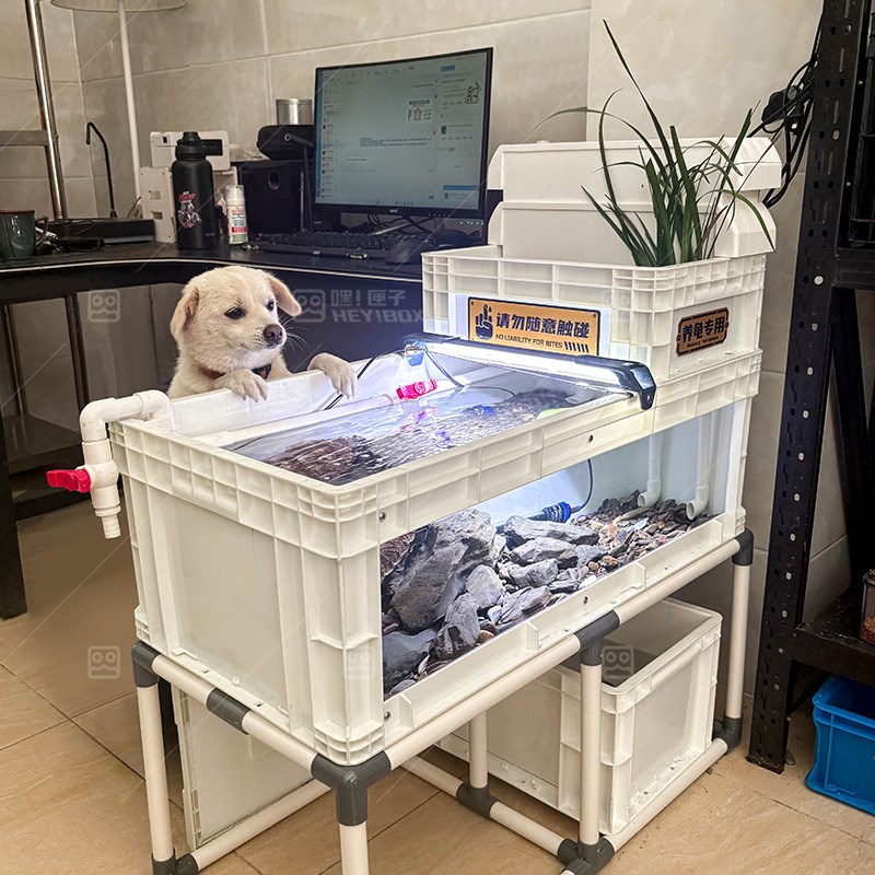 嘿匣子工业风周转箱n养龟可视龟缸饲养缸龟箱鱼缸带盖保温鳄龟蛋